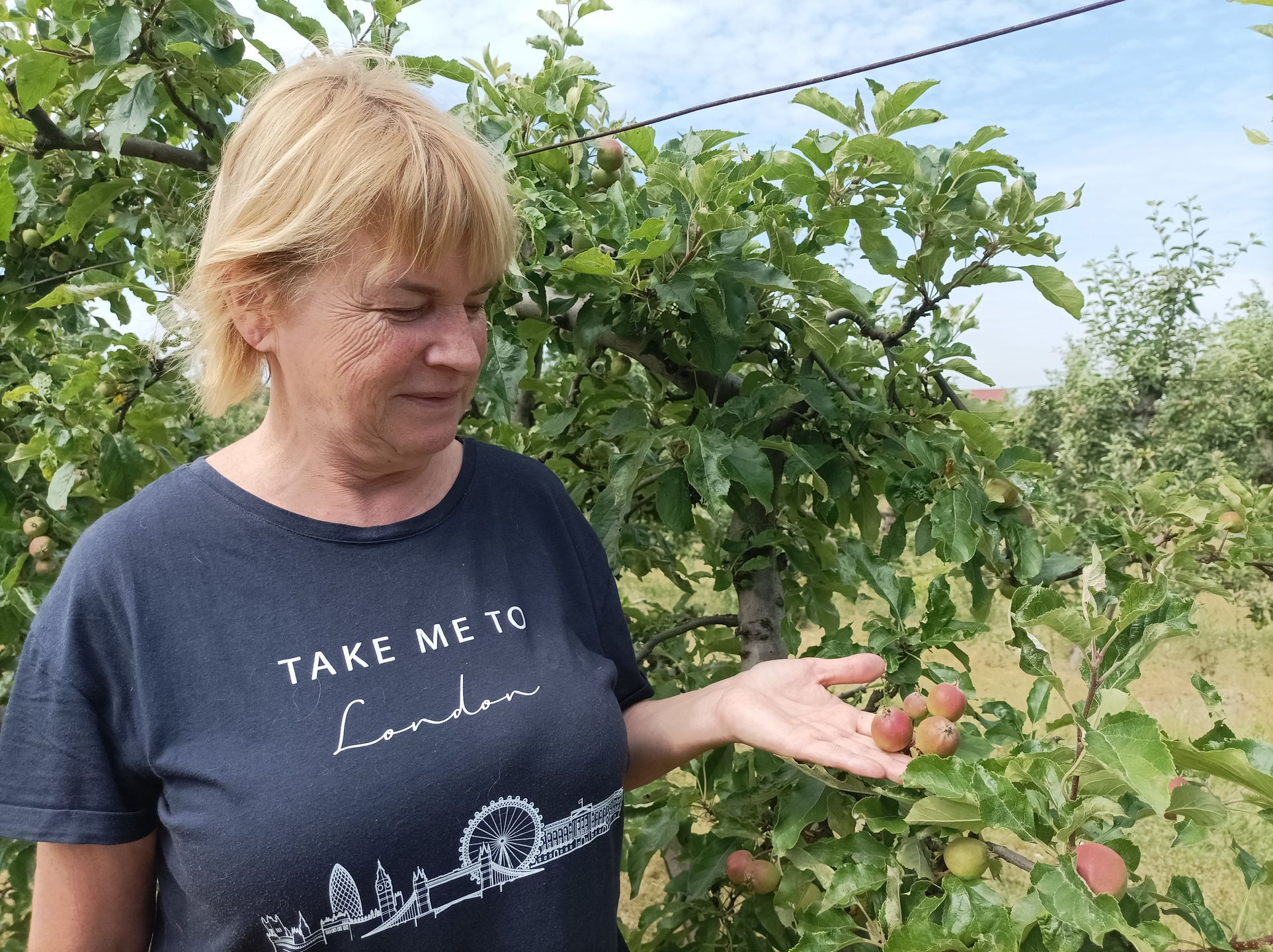 Dorota Kowalska i Piotr Rybikowski z Wiszni Małej prowadzą sad owocowy i od lat organizują samozbiory