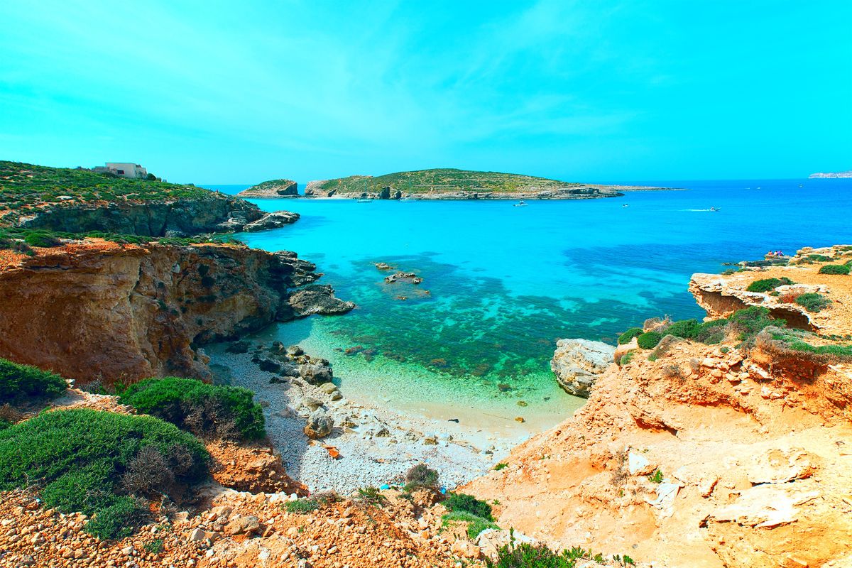 Malta kusi boskimi zatokami