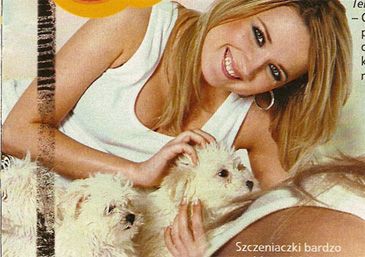 Obraz