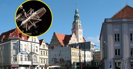 W olsztyńskim ratuszu powstało studio nagrań. Inwestycja budzi kontrowersje