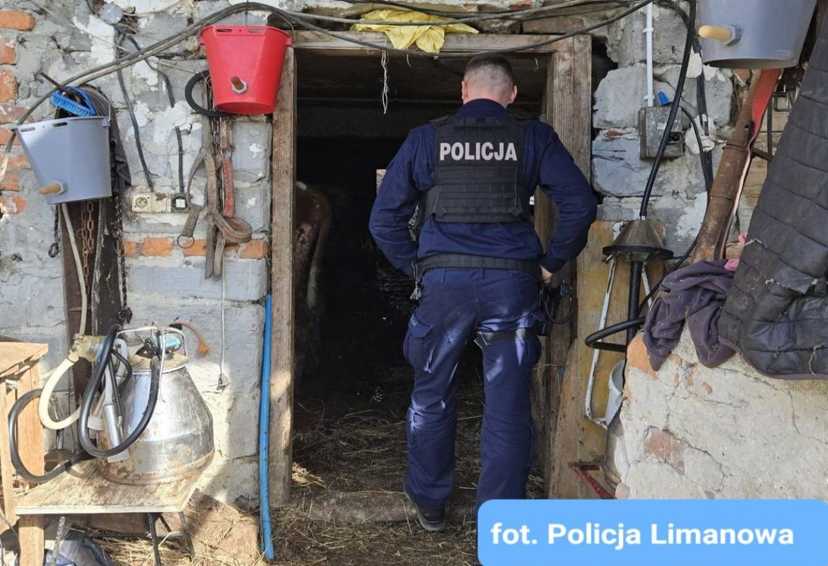 Policjanci weszli na posesję. Dramatyczne odkrycie w Małopolsce