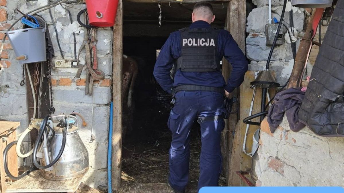 Zwierzęta przebywały w tragicznych warunkach