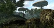 Macie trochę wolnego czasu? Pomóżcie ukończyć prace nad Skywind - Morrowindem na silniku Skyrima