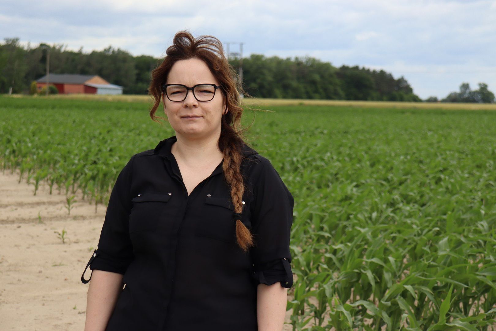 Labirynt kukurydzy powstaje pod Grabowem