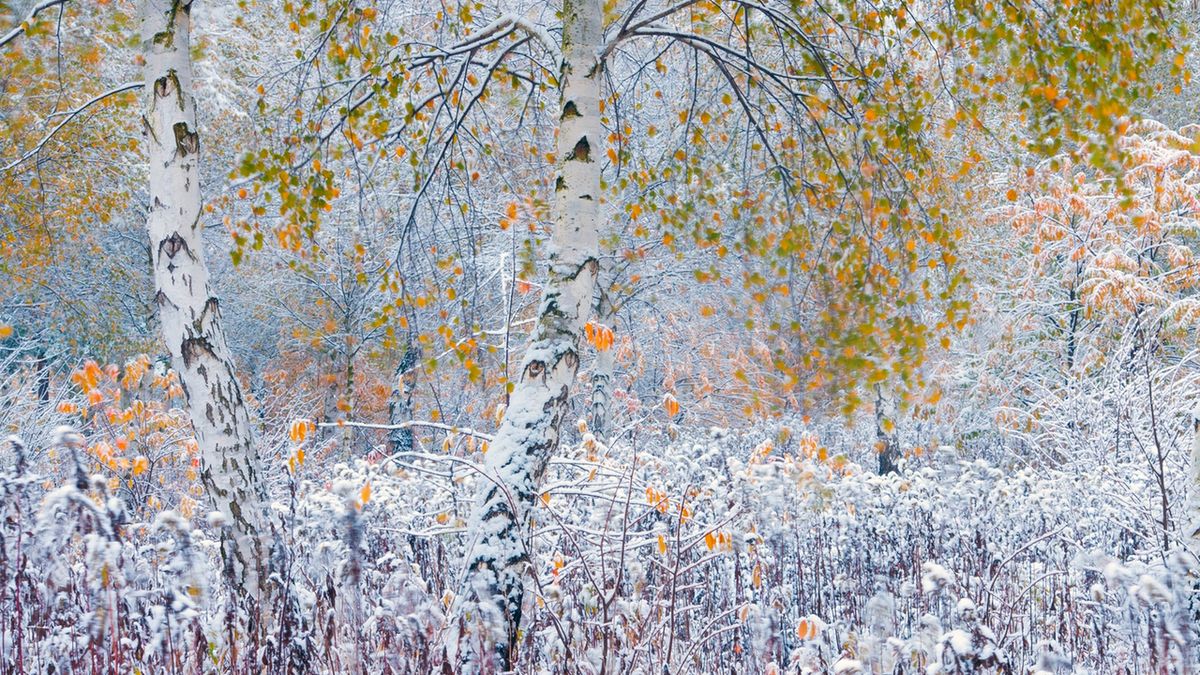Niebanalne zdjęcia przyrody Bartosza Dubiela 1