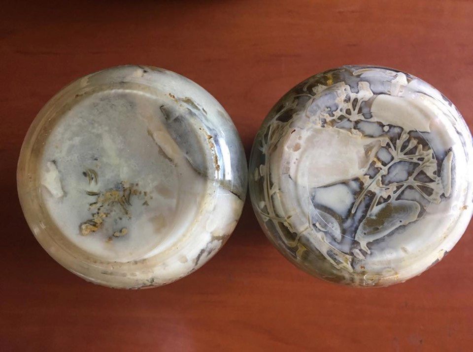 Biały i zielony nalot na ogórkach kiszonych