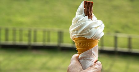 Lody waniliowe o niskiej zawartości węglowodanów