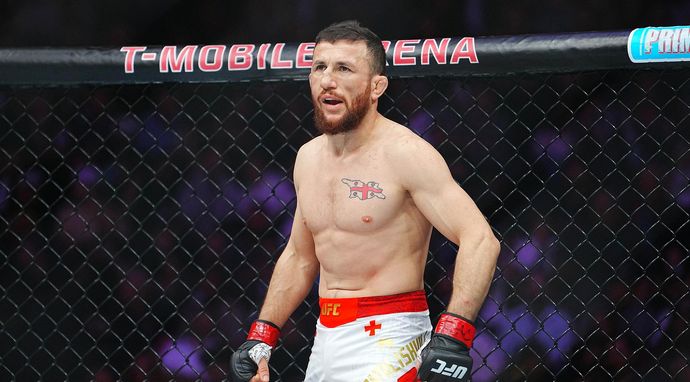 Sporty walki: UFC 323 - walka: Merab Dvalishvili - Petr Yan 2 07.12.2025