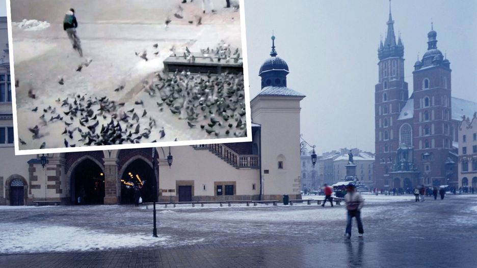 Kraków. Kurier odpowie za rozjechanie gołębi na Rynku Głównym