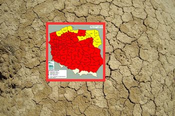 Jest fatalnie. Niemal cała Polska na czerwono. Leśnicy alarmują