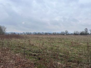 Dwie oferty na odwiert geotermalny w stolicy Karkonoszy. Koszt inwestycji to niemal 20 milionów złotych