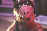 "Alf": Kultowy serial powraca