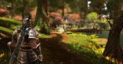 Brak poważnych ofert na prawa do sequela Kingdoms of Amalur