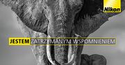 Nikon ogłasza promocję cashback na wybrane aparaty i obiektywy