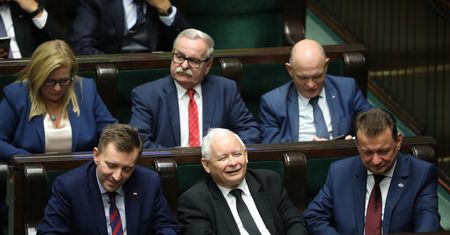 "Piątka dla zwierząt". Posłowie zagłosowali nad nowelizacją ustawy o ochronie zwierząt