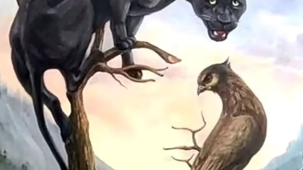 Co widzisz na obrazku? 