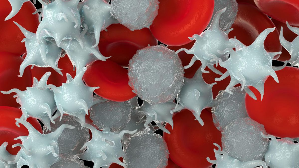 Poziom limfocytów zmienia się w różnych stanach patologicznych