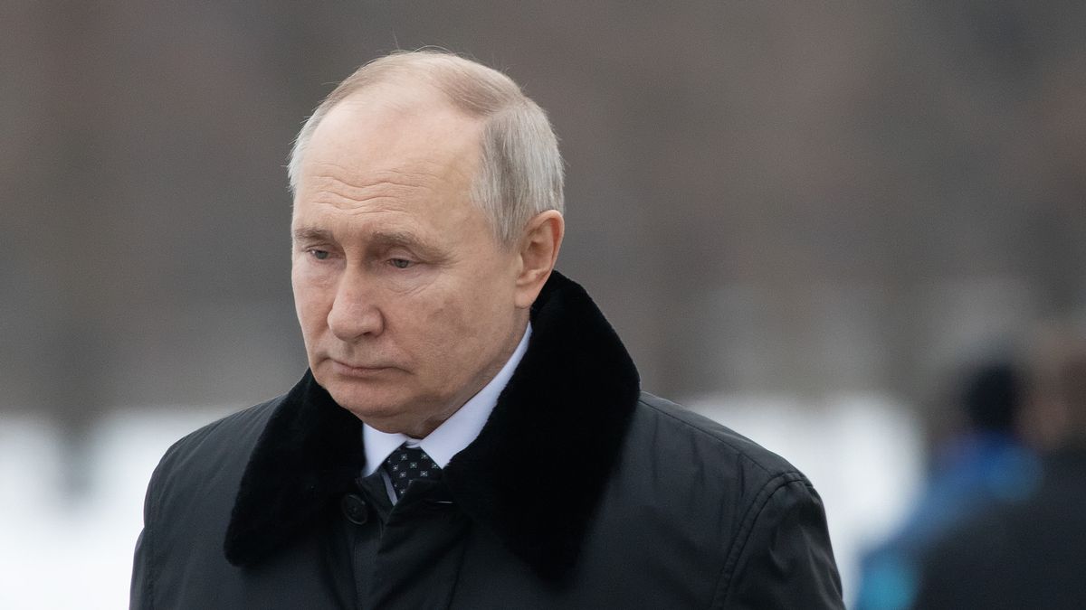 Russian President Vladimir Putin seen during the solemn
ST  PETERSBURG, RUSSIA - 2024/01/27: Russian President Vladimir Putin seen during the solemn mourning ceremony of laying wreaths and flowers at the Motherland monument, honored the memory of the victims of the siege of Leningrad at the Piskarevskoye memorial cemetery. St. Petersburg celebrates an important historical date, 80 years since the complete liberation of Leningrad from the fascist blockade. (Photo by Artem Priakhin/SOPA Images/LightRocket via Getty Images)
SOPA Images
russian, solemn funeral ceremony, tribute, victims, piskarevskoye memorial cemetery. event, commemoration, remembrance, memory, .ceremony