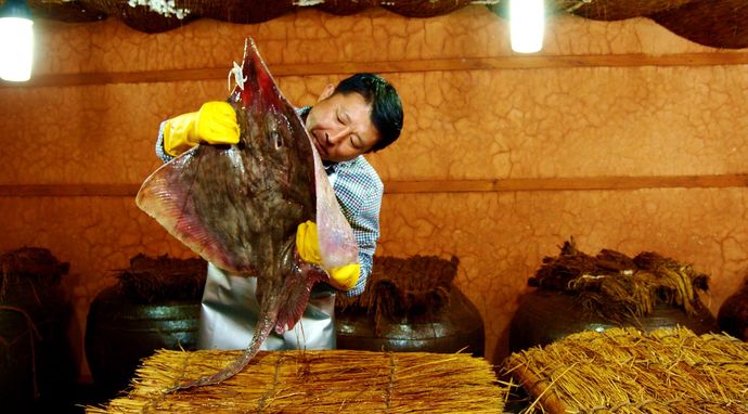 Wszystkie smaki fermentacji