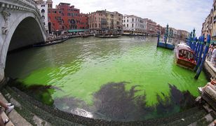 Odblaskowa zielona plama na Canal Grande w Wenecji. "Zdecydowane przegięcie"