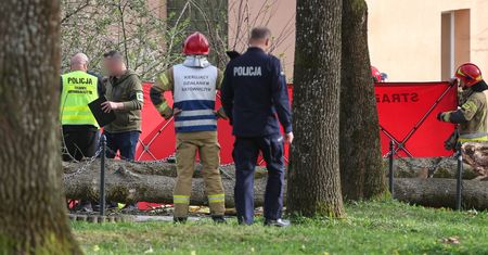 "Gdzie jest granica rozsądku". Szokujące zachowanie turystów w Tatrach