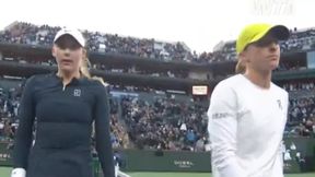 Świątek przegrała z Rosjanką. Tak zachowała się pod siatką po meczu