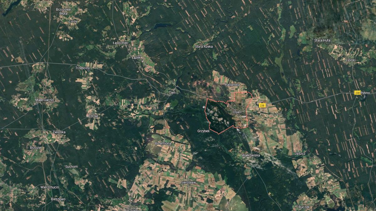 Pożar zakładów mięsynych w Osiu