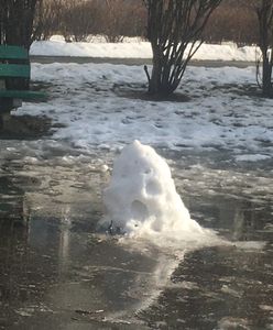 Śnieżna afera w Warszawie. "Hejterzy życzą mi śmierci"