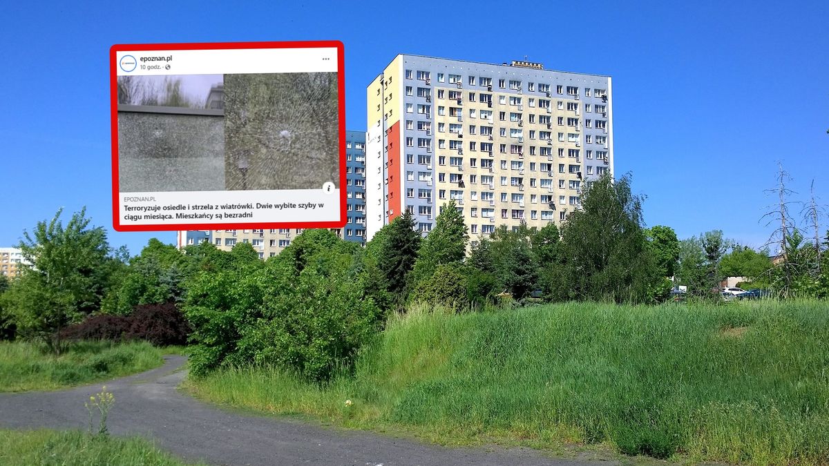 Szokujące doniesienia z Poznania (w tle zdjęcie ilustracyjne).