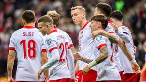 Wyliczyli szanse Polaków na awans do Euro 2024