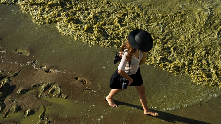 Sinice już pod koniec czerwca pojawiły się m.in. na plaży w Trójmieście