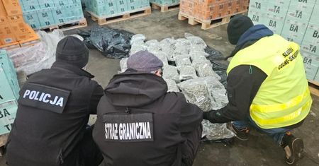 Przemyt 270 kg narkotyków. Towar jest wart 12 mln zł