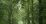 Baśniowa kraina drogi nr 503