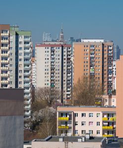 Warszawa. Nie powstanie droga na Gocławiu