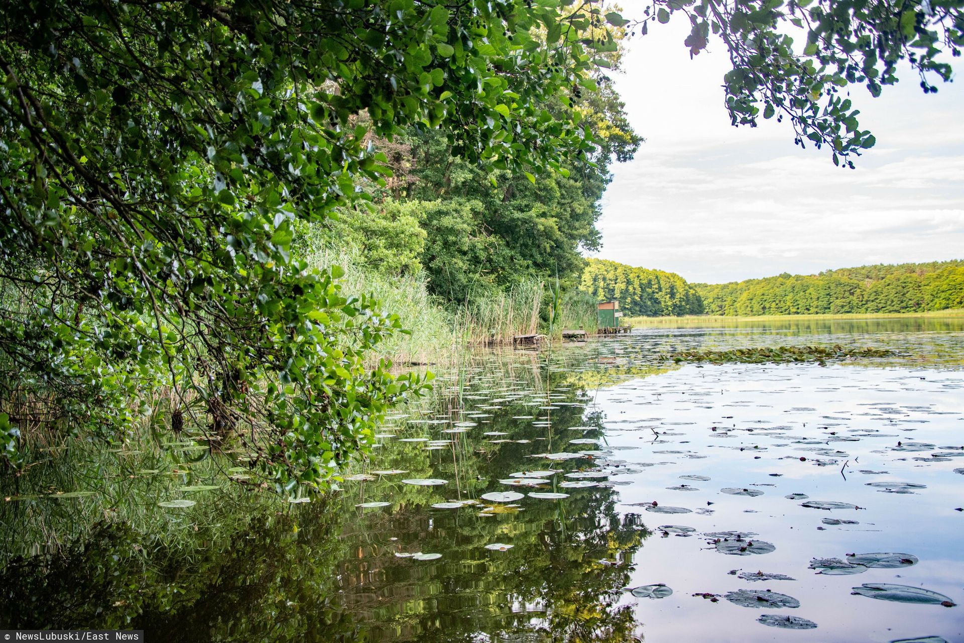 15-latek utonął na obozie harcerskim. Opiekun i ratownik staną przed sądem