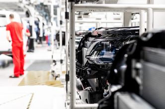 Ważna gałąź polskiej gospodarki więdnie. Eksperci wskazali zagrożenia i szanse