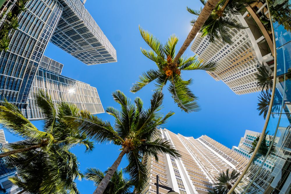 "Bunkier miliarderów". Iglesias sprzedaje najdroższy kawałek ziemi w Miami