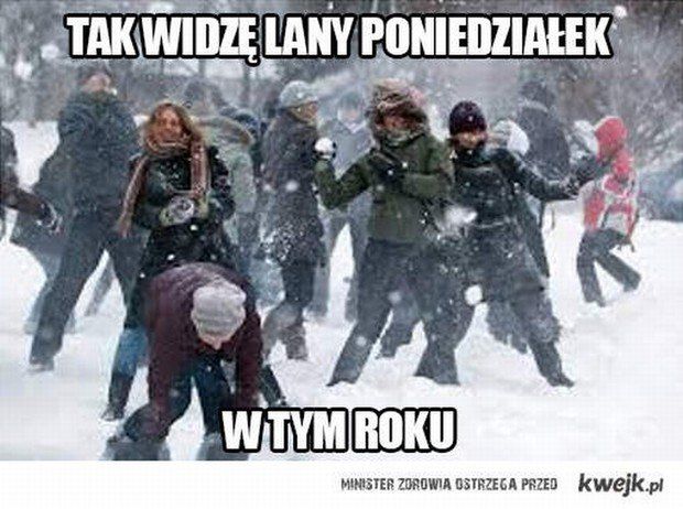 Wiosna nie nadeszła, internauci wyżywają się w memach. Zobaczcie najlepsze z nich 11