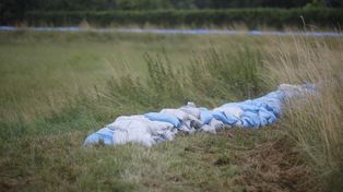 Sytuacja meteorologiczna w Łodzi i województwie. Interwencje strażaków, stan na czwartek 10.07
