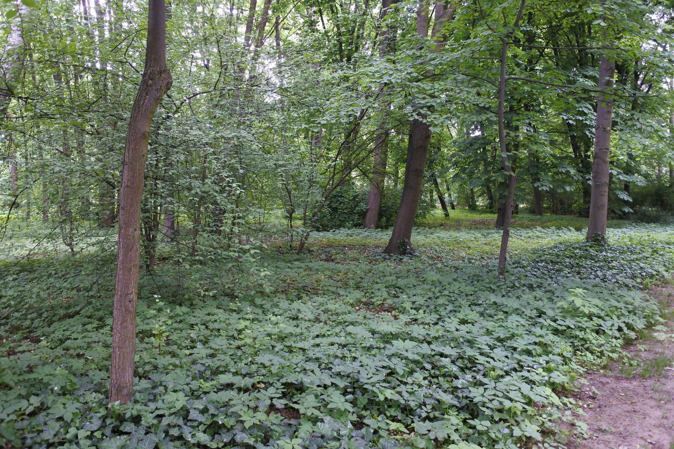 Nowy bezlusterkowiec do 2000 zł - na które aparaty warto zwrócić uwagę? 129