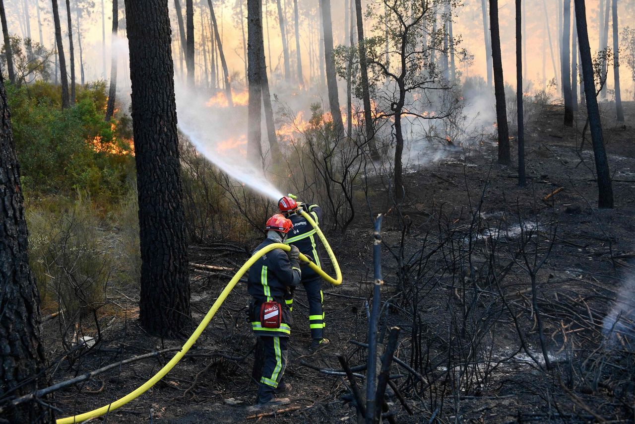 Pożary lasów we Francji. Dwie osoby zginęły