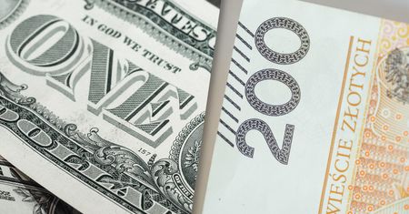 Dolar traci na wartości względem złotego. Eksperci oczekują kluczowych danych z USA