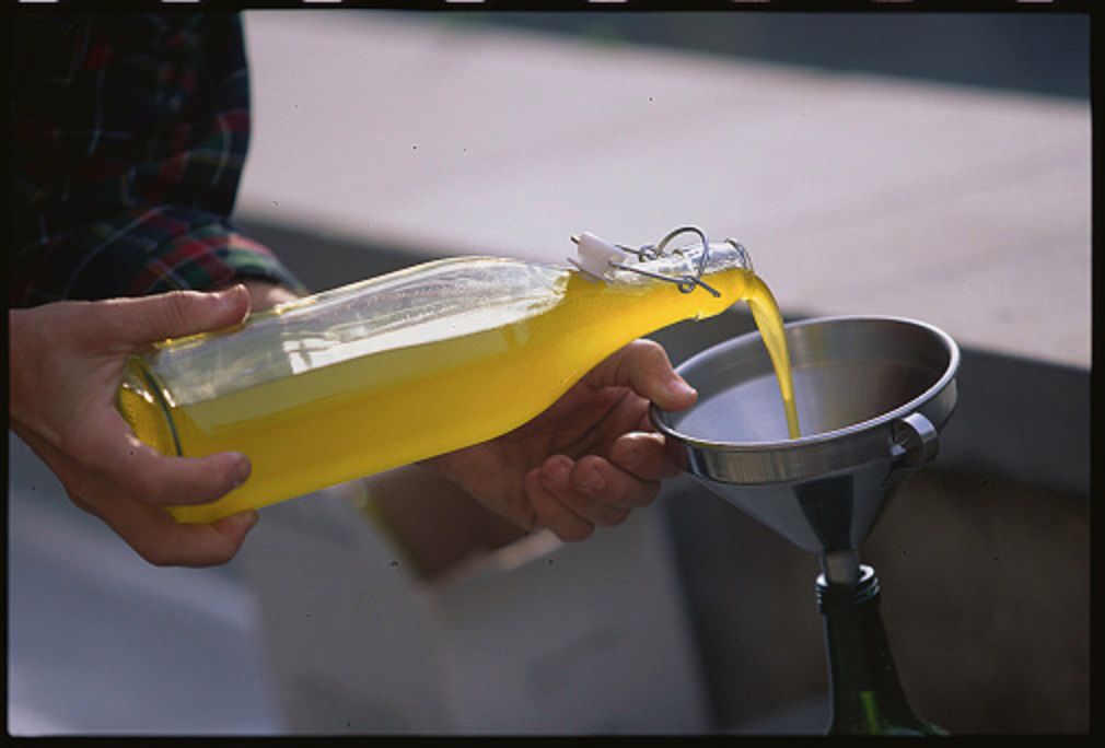 Oliwa z oliwek właściwości -  16 dowiedzonych korzyści