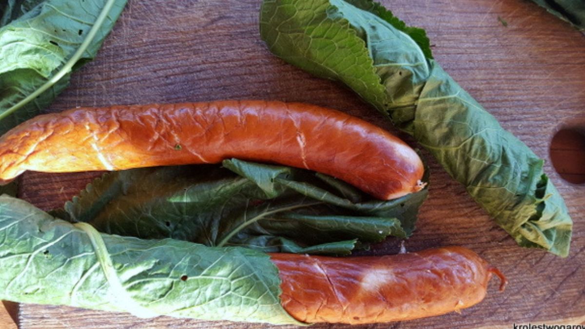 Kiełbasa w liściach chrzanu