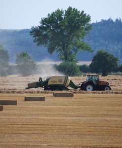 Potężne straty na polach. Rolnicy apelują: ogłoście stan klęski żywiołowej
