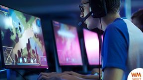 Polscy kibice esportu