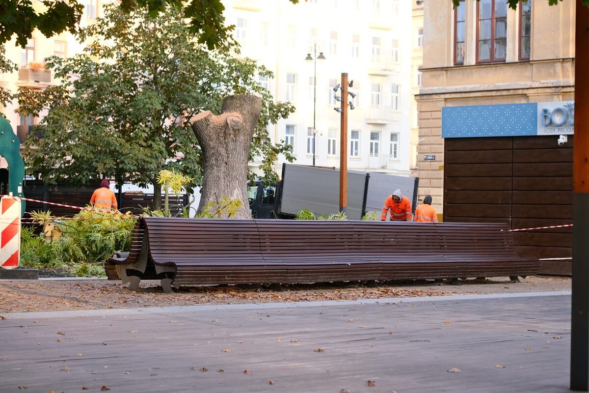 Wycięty jesion na Placu Litewskim