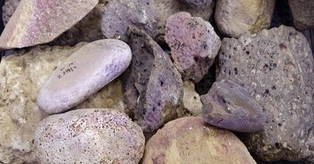 Historyczne odkrycie archeologów. Znaleźli starożytną fabrykę