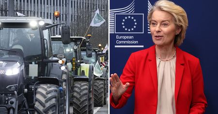 Cichy trik Brukseli ws. Mercosur. O tym niewiele się mówi [OPINIA]