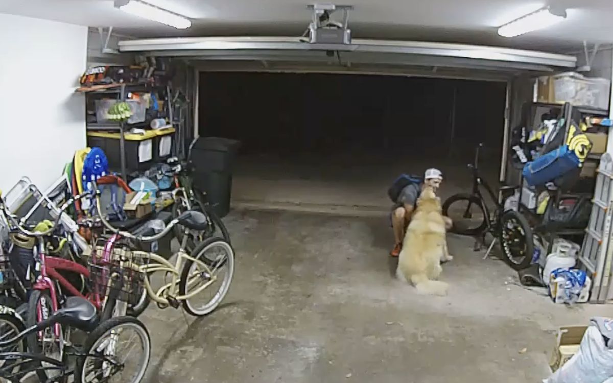 Mężczyzna zrobił przerwę podczas kradzieży, żeby przytulić psa